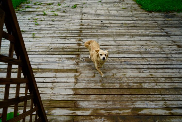 温州三八妇女节好玩的地方,温州三八节活动