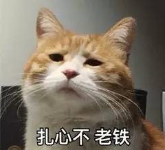 日本奶瓶和天猫奶瓶,日本奶瓶爱马仕