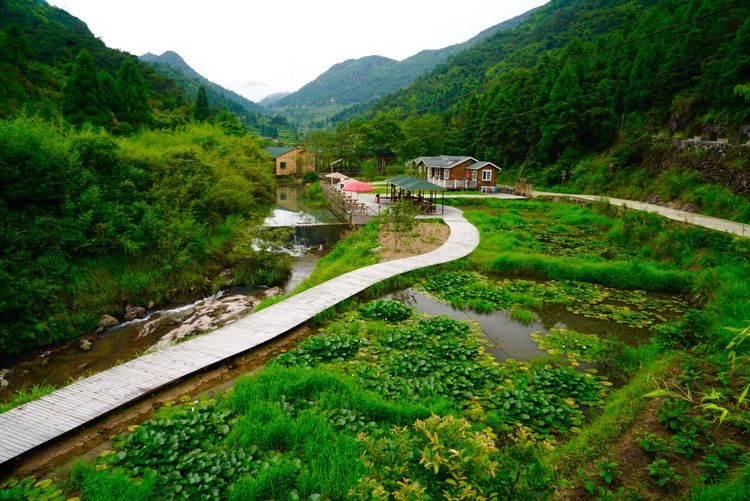温州三八节免费景点,三八节好玩的地方温州