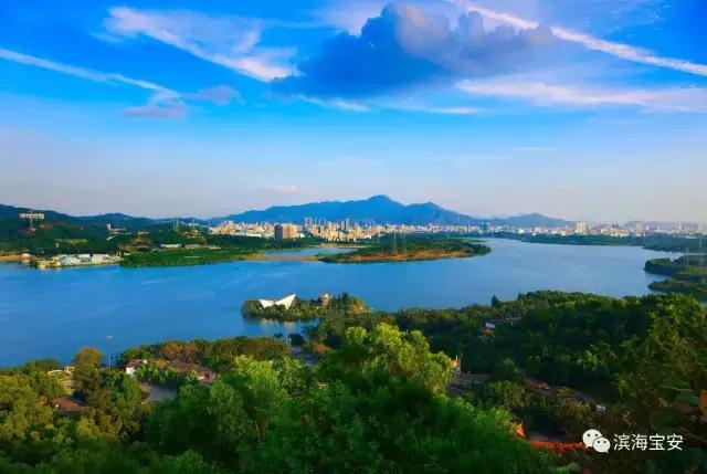 看了2020年的宝安，才明白什么叫开挂！