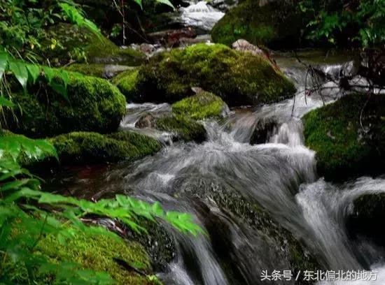 夏季黑龙江最美景区,黑龙江避暑最佳城市