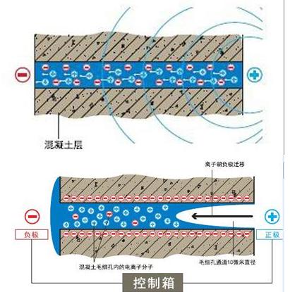 地下室有必要花钱买吗,有没有必要买地下室
