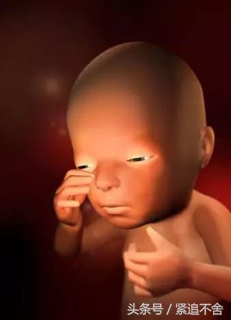 超萌龙凤胎宝宝图片,孕1到9周胎儿发育全过程