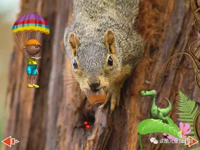 神奇的植物种子传播方法,我还知道哪些植物靠旅行传播种子