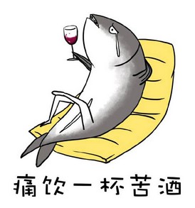 实测大容量网红行李箱质量与功能,平价网红行李箱测评