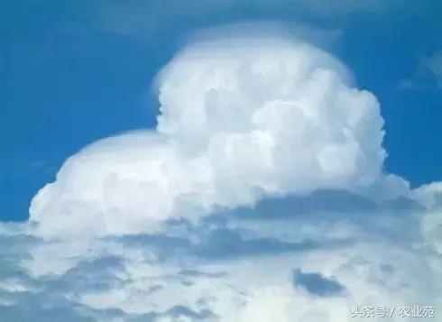 怎么根据云彩来判断天气,云彩识别天气图解