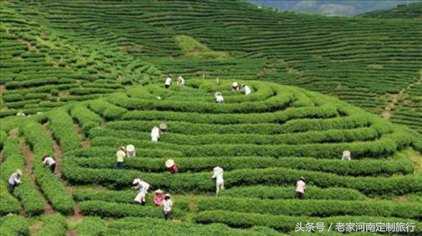 激情穿越信阳西九华山定制旅行路书