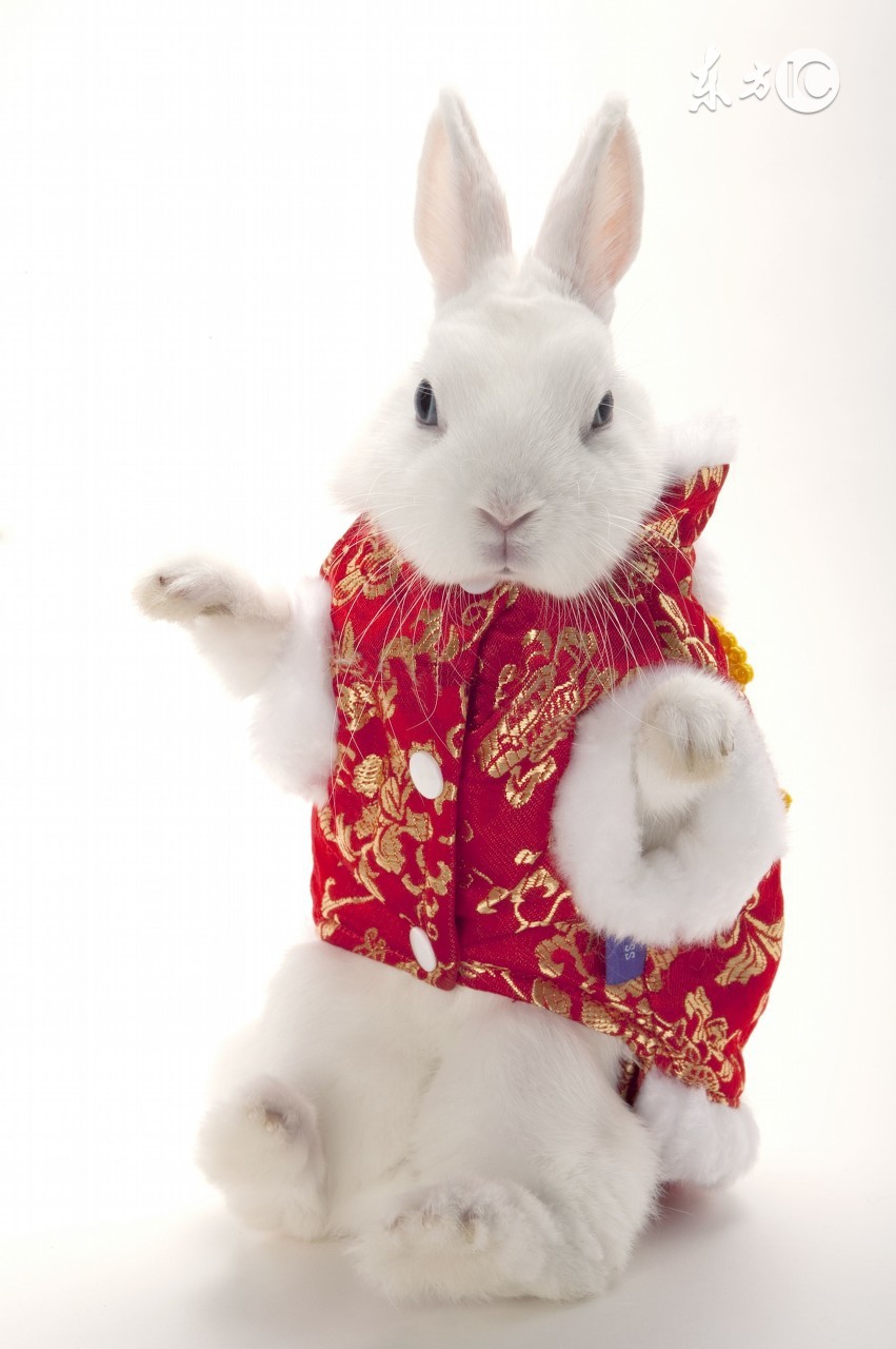 孕妇怀孕十月的食谱,孕妇营养食谱长胎不长肉