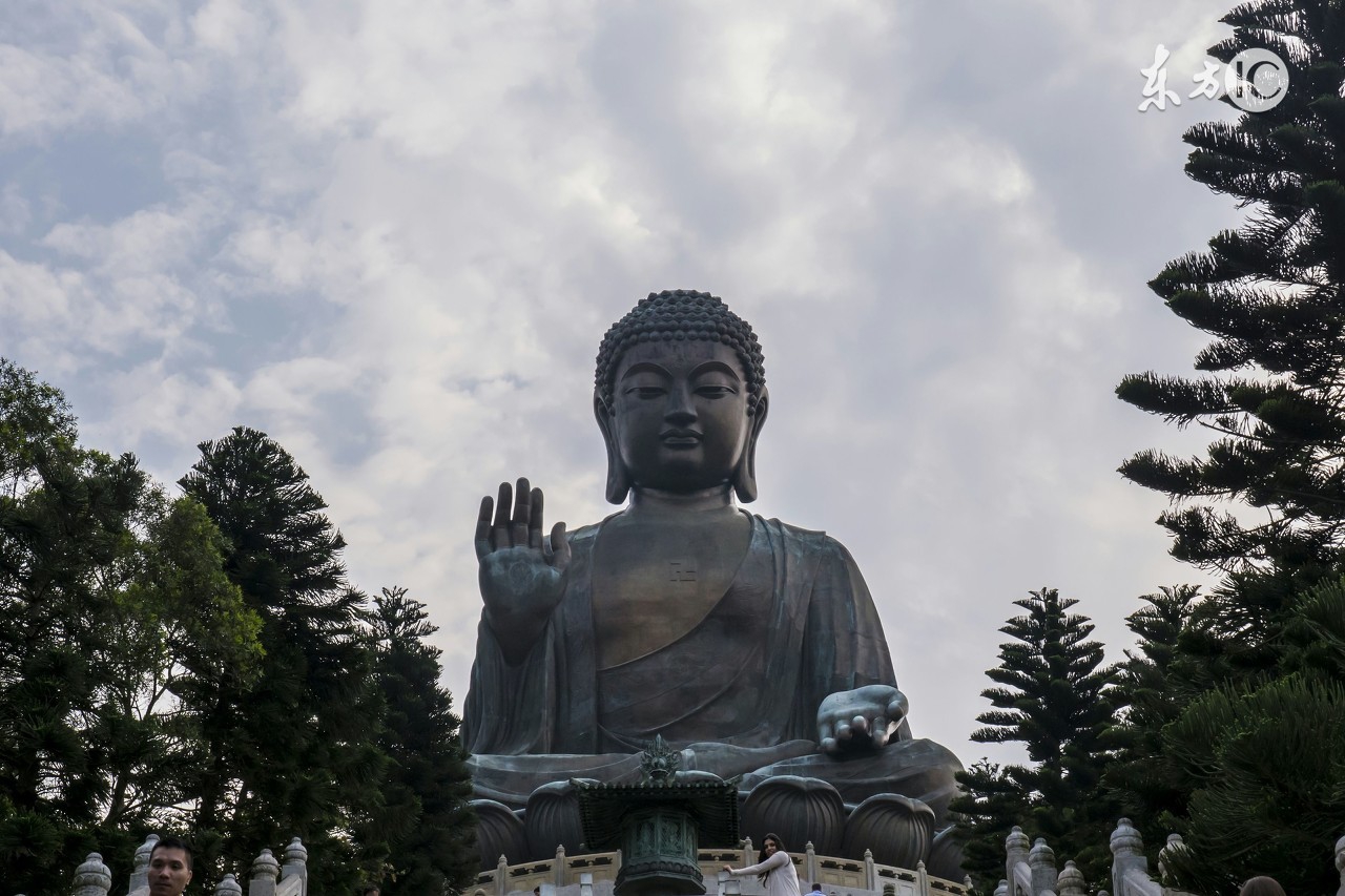 生肖牛不幸的年份,生肖牛在哪年运气最好