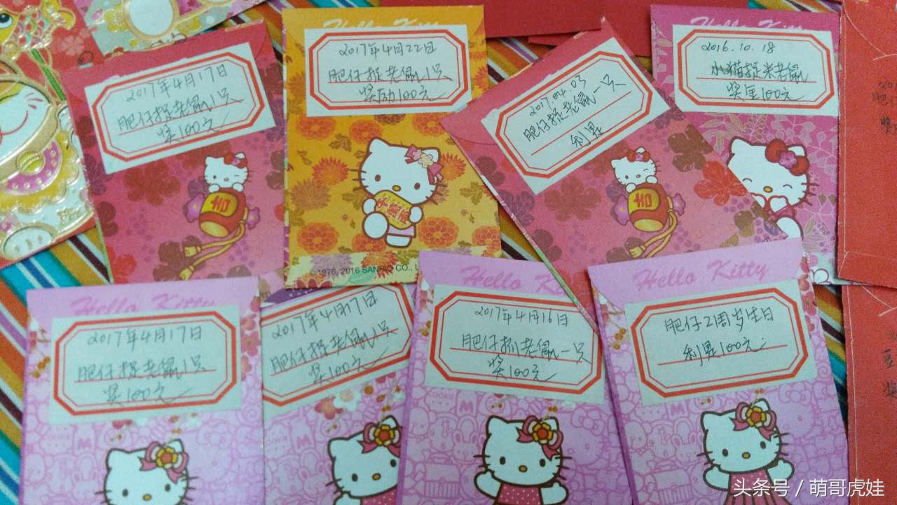 谁说天上不能掉馅饼，坐在家里也能被空降的喵星人砸中，命中注定就是铲屎官