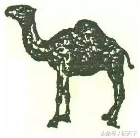 正宗骆驼的商标,骆驼商标有几种类型