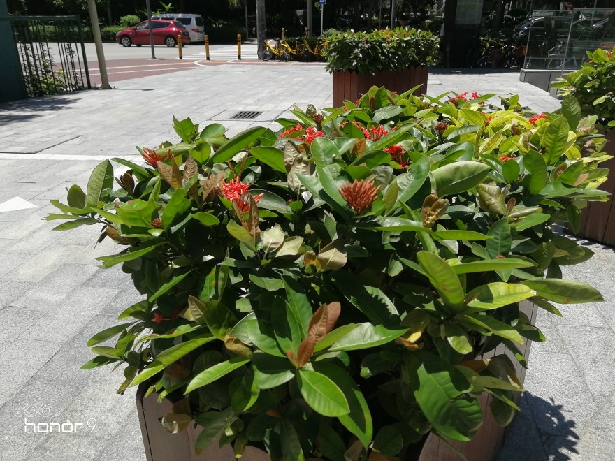 荣耀9高配和标配区别在哪,荣耀9支持ufs3.0吗