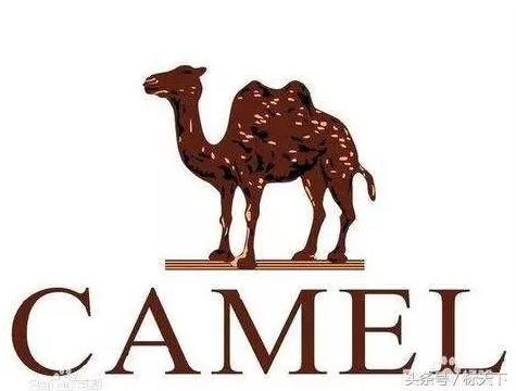 正宗骆驼的商标,骆驼商标有几种类型
