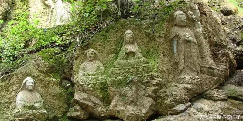 哈尔滨尚志要开挂了！如果三年后你还在尚志，将面对的竟是这些