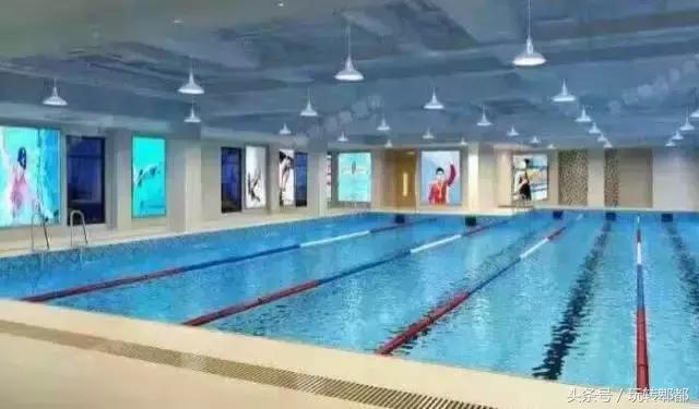 郫都室外游泳池,郫都区对外开放的游泳池