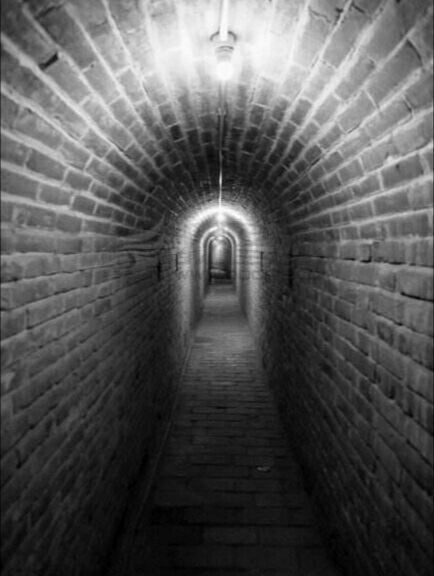 洛阳寿春小学,洛阳市寿春小学