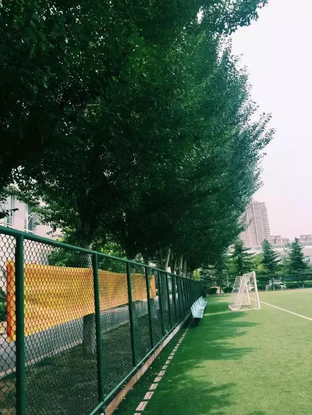 沈阳体育学院破茧,沈阳体育学院原址