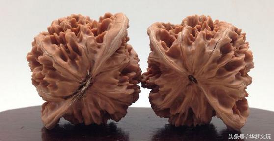 龙鳞纹狮子头和龙鳞纹官帽区别,金刚纹官帽狮子头