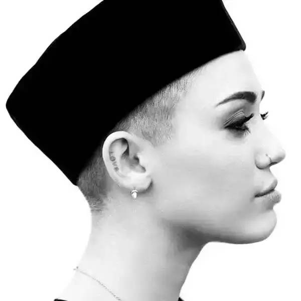 nobb鑻辨枃,nobb鑻辫