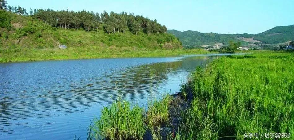 哈尔滨尚志要开挂了！如果三年后你还在尚志，将面对的竟是这些