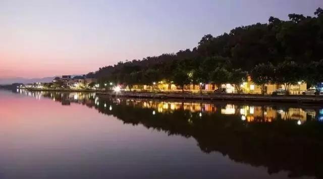 七星岩夏天的荷花图片,七星岩景区有荷花吗