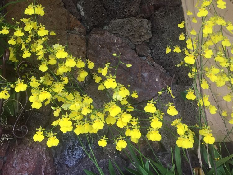 碧海蓝天亚龙湾,三亚美丽的亚龙湾
