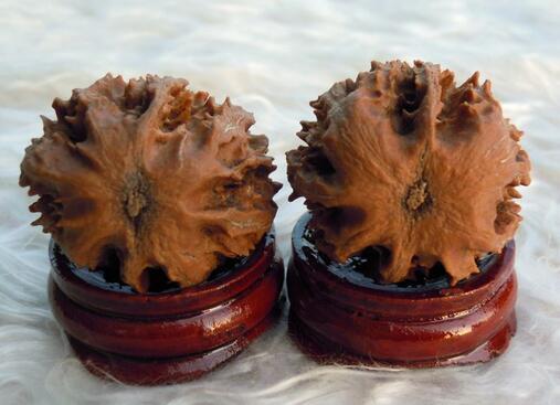 乾隆盘玩核桃,文玩核桃的发展历史