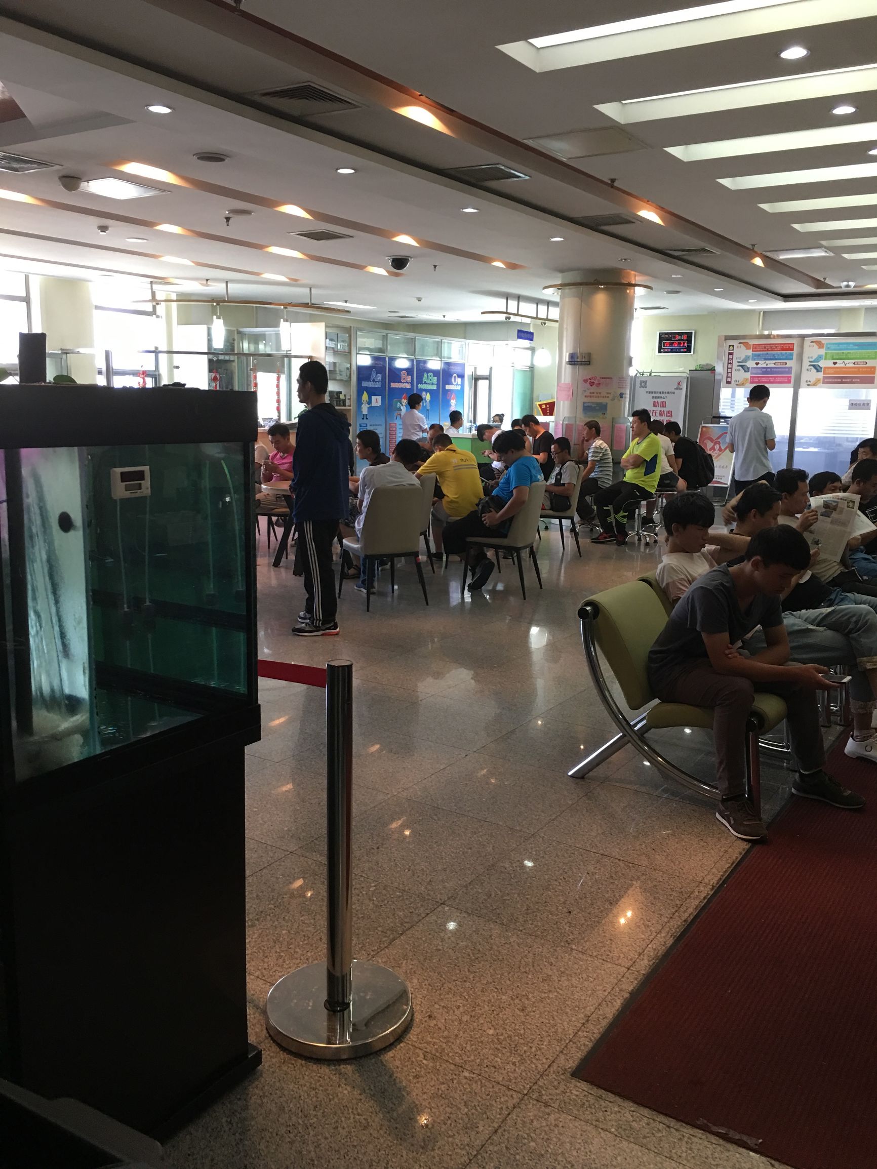 无偿献血真的可怕吗,北京市无偿献血政策