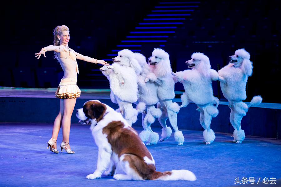 珠海到广州长隆游玩攻略,珠海长隆海洋王国寒假游玩攻略