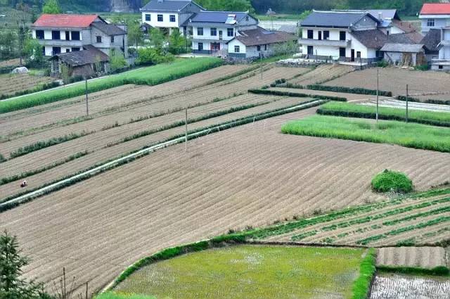 宜昌周边适合避暑的古镇,宜昌小众避暑景点