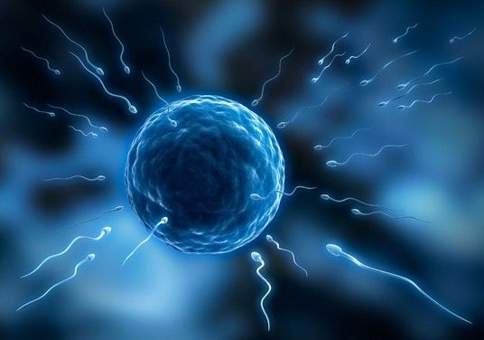 原来生过孩子现在怀不上什么原因,怀不了孕的女人