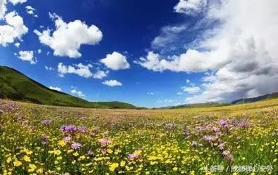 甘南年宝玉则景区,甘肃宝玉则旅游攻略