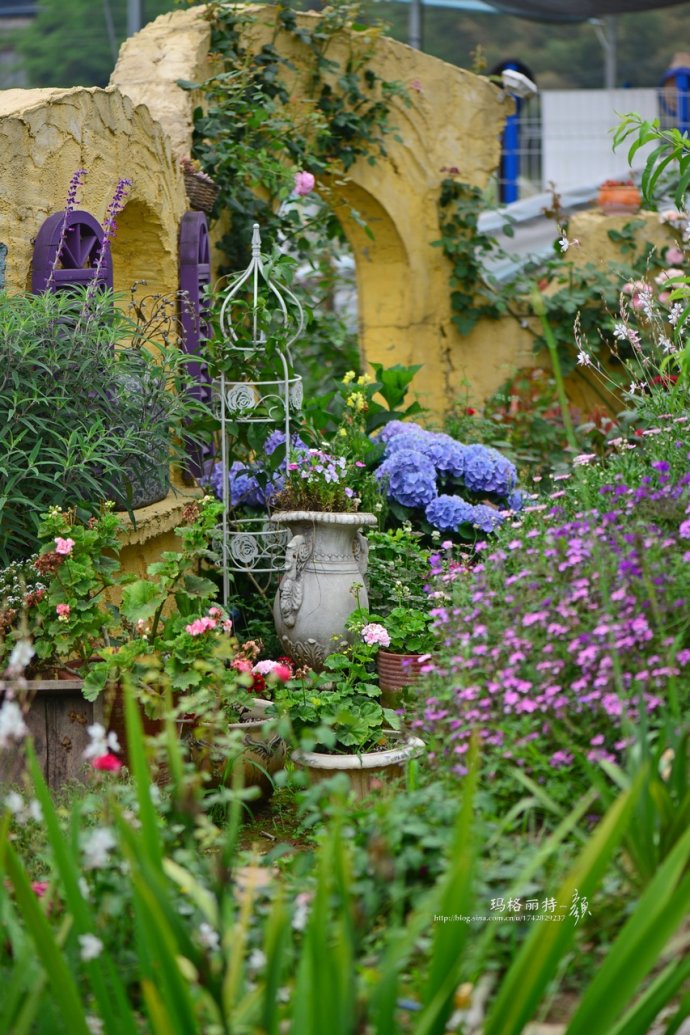 成都玛莉亚色彩花园,成都玛莉亚色彩花园电话