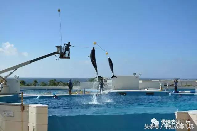 冲绳亲子游最强攻略,冲绳带娃旅游攻略