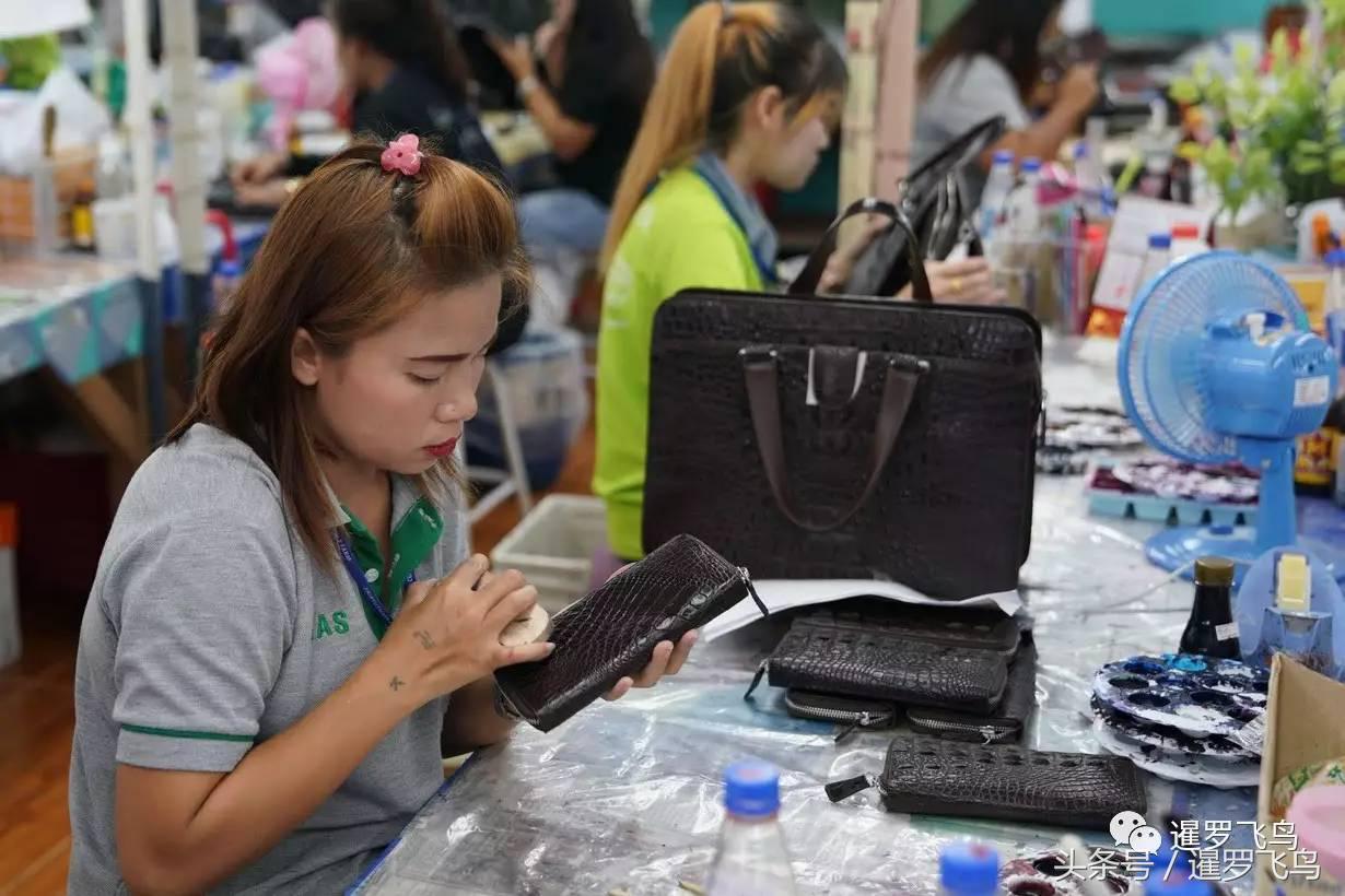 泰国养殖的鳄鱼,鳄鱼养殖基地吃鸡头