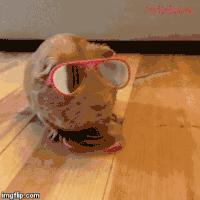 编辑部指尖陀螺挑战赛，她们到底能坚持几秒？