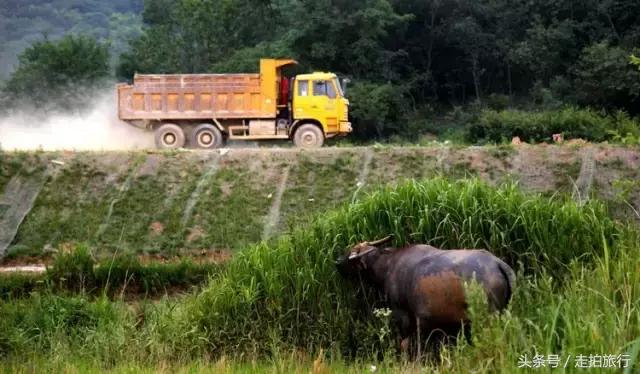 滁州有哪些地方可以下班去逛逛,滁州十大必去景点推荐