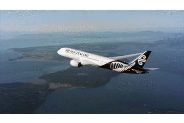 飞翔的新西兰人：这群人把10+小时的航班变成了一种乐趣