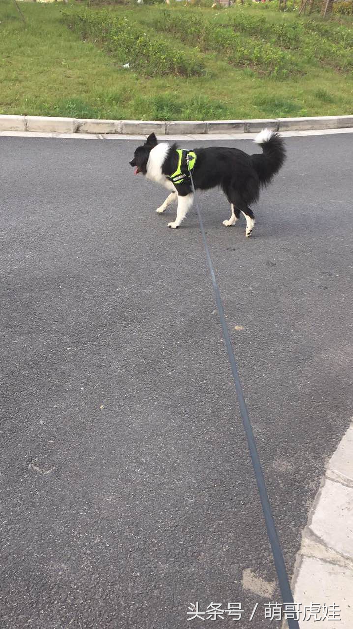 澶忓ぉ鏉ヤ簡鐚ゴ,澶忓ぉ鏉ヤ簡瑕佺粰鐚壀姣涘悧