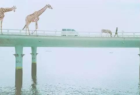 所有的不好意思都是自己活该 (有些事从一开始就是活该)