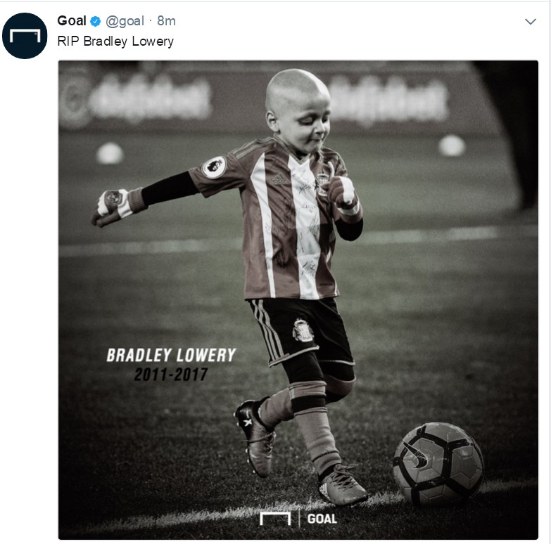 小布拉德利视频,小布拉德利最后的话