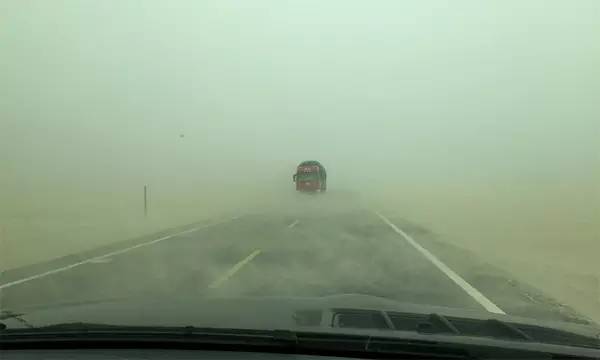 戈壁滩上种大枣,戈壁滩种枣