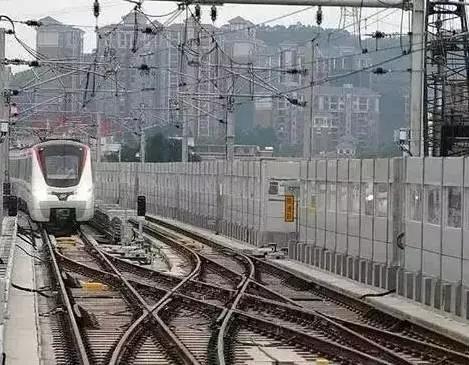 最新幸福指数10条,幸福指数爆棚一览表