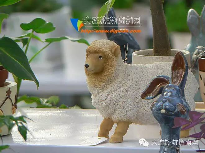 大连西郊超市,大连西郊园艺超市游记