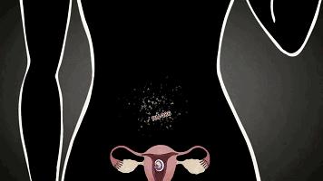 LAN《性、安全、录像带》