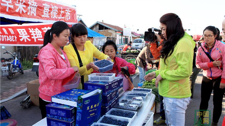 砥砺奋进的五年文化成就图片,砥砺奋进的五年成就评论