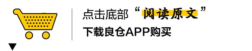 德普都在戴的波士顿款，专业级防蓝光护目镜，彩虹镜腿随便换