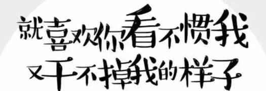 盘点十大网红萌宠,盘点全网6只网红萌宠