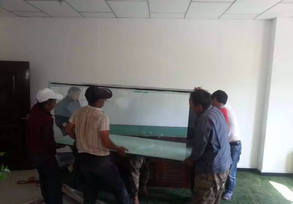 2米龙魟虎缸，23天开缸全记录