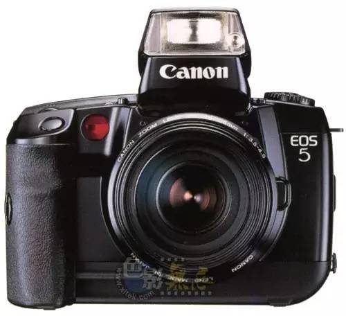 相机的第一组照片,相机里的第一只猫